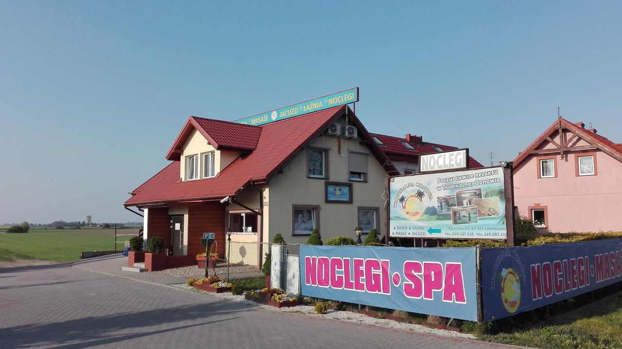 Tropikalna Odnowa Bed & Breakfast Falkowo Exterior foto